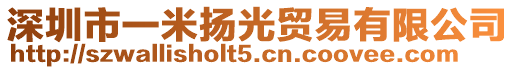 深圳市一米揚光貿(mào)易有限公司