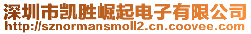 深圳市凱勝崛起電子有限公司