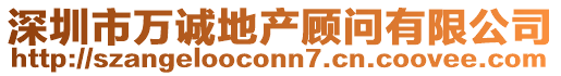 深圳市萬誠(chéng)地產(chǎn)顧問有限公司