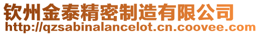欽州金泰精密制造有限公司
