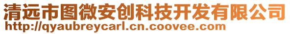 清遠(yuǎn)市圖微安創(chuàng)科技開發(fā)有限公司