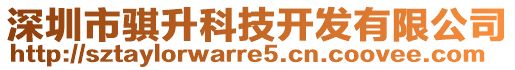 深圳市騏升科技開發(fā)有限公司