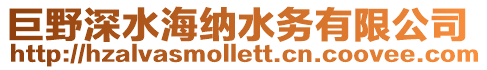 巨野深水海納水務有限公司