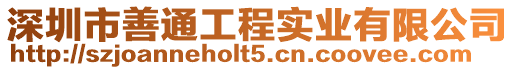 深圳市善通工程實業有限公司