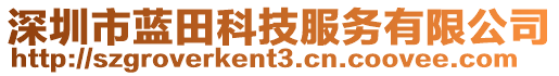 深圳市藍(lán)田科技服務(wù)有限公司
