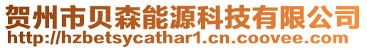 賀州市貝森能源科技有限公司