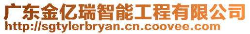 廣東金億瑞智能工程有限公司