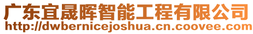 廣東宜晟暉智能工程有限公司