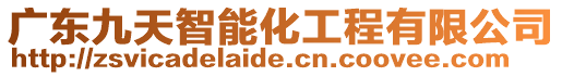 廣東九天智能化工程有限公司