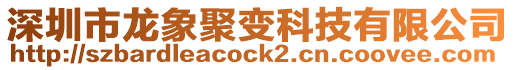 深圳市龍象聚變科技有限公司