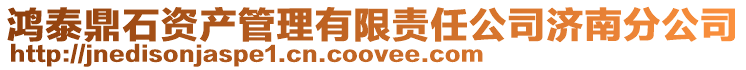 鴻泰鼎石資產管理有限責任公司濟南分公司