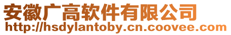 安徽廣高軟件有限公司