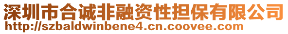 深圳市合誠非融資性擔(dān)保有限公司