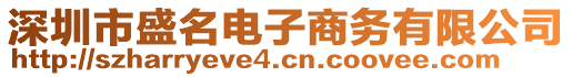 深圳市盛名電子商務(wù)有限公司