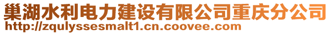 巢湖水利電力建設(shè)有限公司重慶分公司