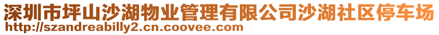 深圳市坪山沙湖物業(yè)管理有限公司沙湖社區(qū)停車場