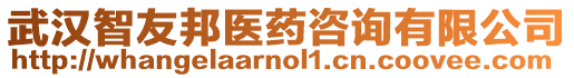 武漢智友邦醫藥咨詢有限公司