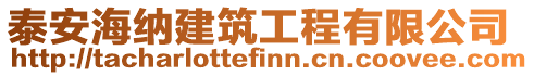泰安海納建筑工程有限公司