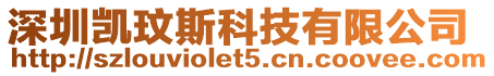 深圳凱玟斯科技有限公司