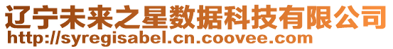 遼寧未來之星數(shù)據(jù)科技有限公司