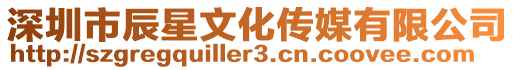 深圳市辰星文化傳媒有限公司