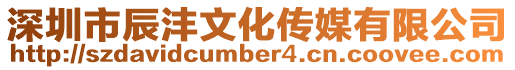 深圳市辰灃文化傳媒有限公司