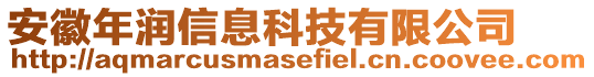 安徽年潤信息科技有限公司