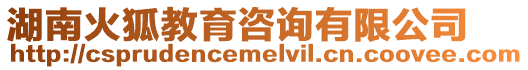 湖南火狐教育咨詢有限公司