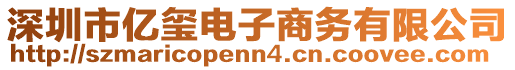 深圳市億璽電子商務(wù)有限公司