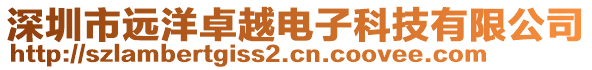 深圳市遠(yuǎn)洋卓越電子科技有限公司