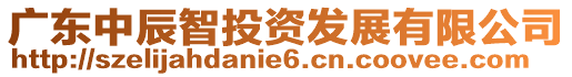 廣東中辰智投資發(fā)展有限公司