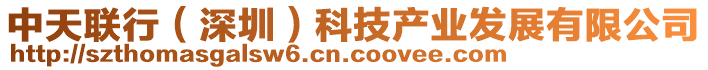 中天聯(lián)行（深圳）科技產(chǎn)業(yè)發(fā)展有限公司