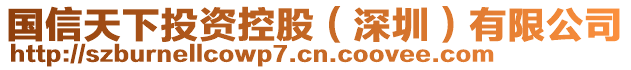 國信天下投資控股（深圳）有限公司