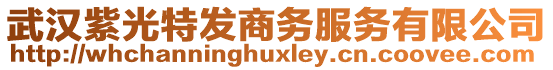 武漢紫光特發(fā)商務(wù)服務(wù)有限公司