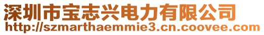 深圳市寶志興電力有限公司
