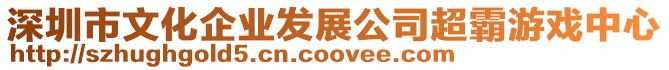 深圳市文化企業發展公司超霸游戲中心