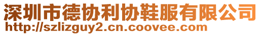深圳市德協利協鞋服有限公司