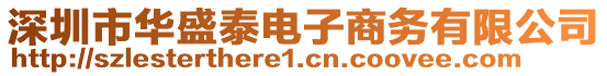 深圳市華盛泰電子商務有限公司