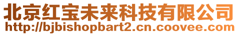 北京紅寶未來科技有限公司