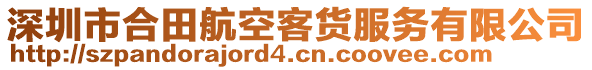 深圳市合田航空客貨服務(wù)有限公司