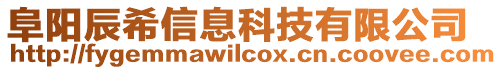 阜陽辰希信息科技有限公司