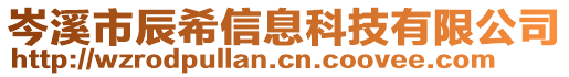 岑溪市辰希信息科技有限公司