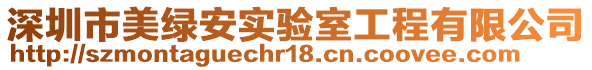 深圳市美綠安實驗室工程有限公司