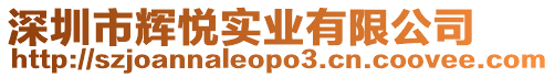 深圳市輝悅實業(yè)有限公司