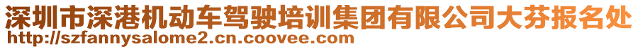 深圳市深港機(jī)動(dòng)車駕駛培訓(xùn)集團(tuán)有限公司大芬報(bào)名處