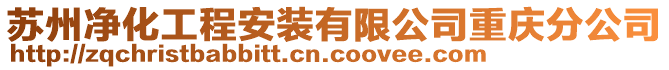 蘇州凈化工程安裝有限公司重慶分公司