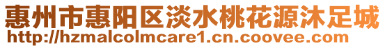 惠州市惠陽區淡水桃花源沐足城