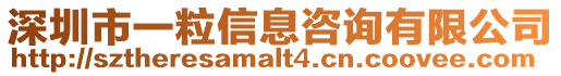 深圳市一粒信息咨詢有限公司