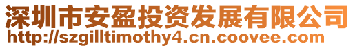 深圳市安盈投資發展有限公司