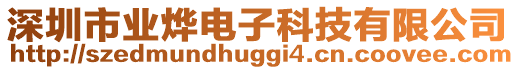 深圳市業(yè)燁電子科技有限公司